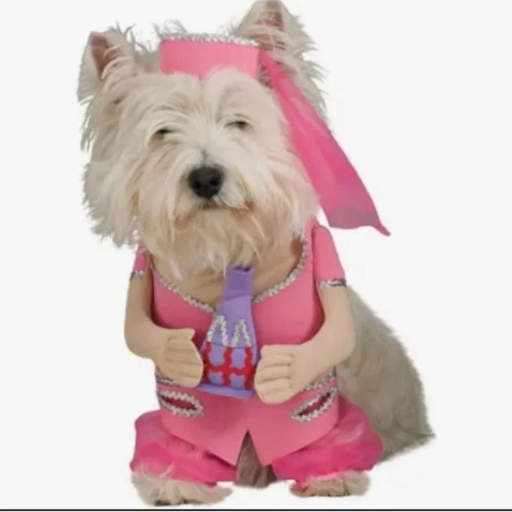 HOST PICK - NWT I Dream of Jeannie Pet Costume